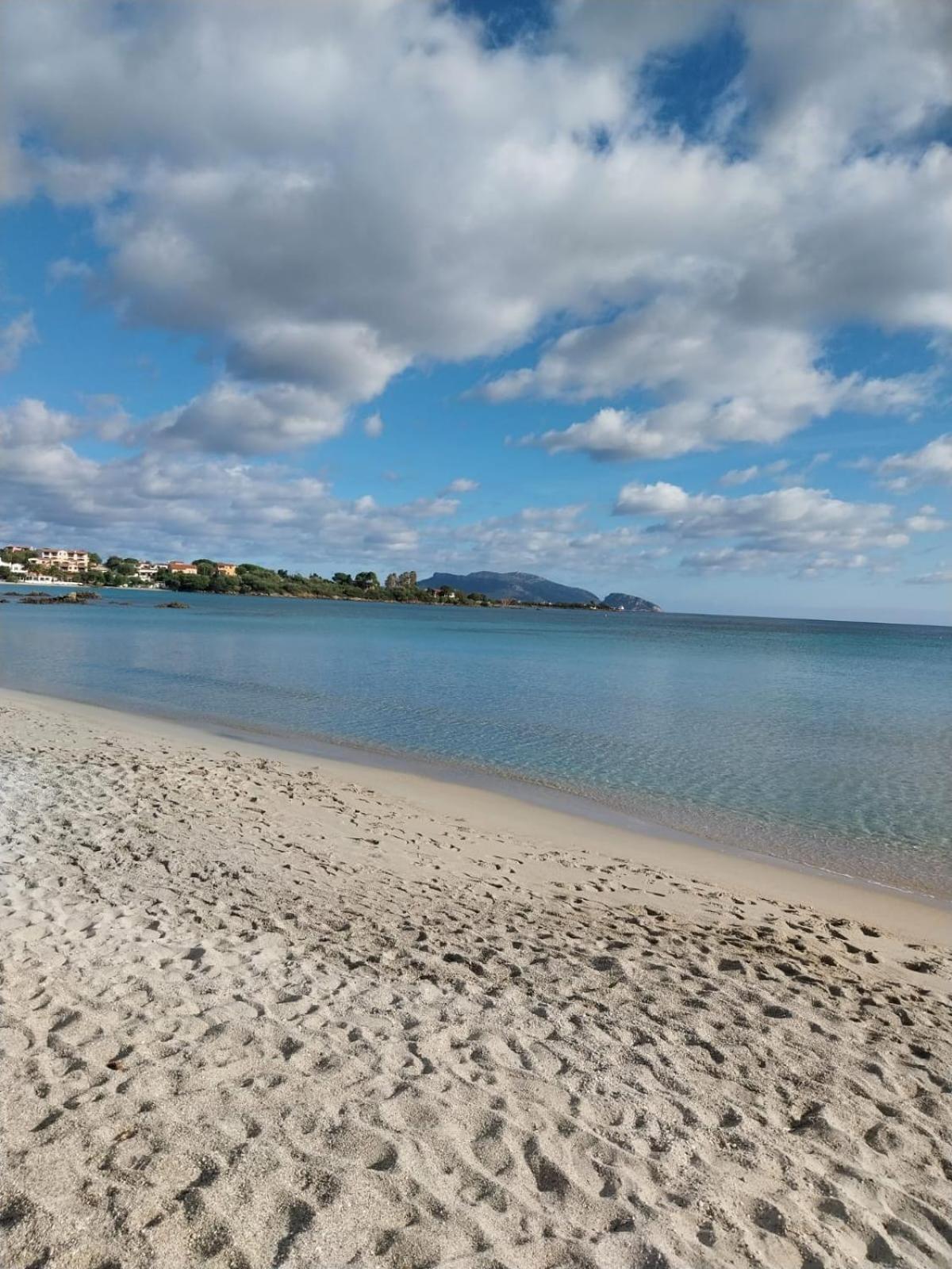 Appartamento Da Wanna Olbia Eksteriør billede